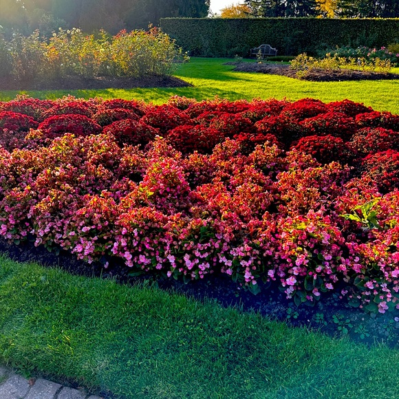 Meet your Posher, Bouty - Picture 1 of 1